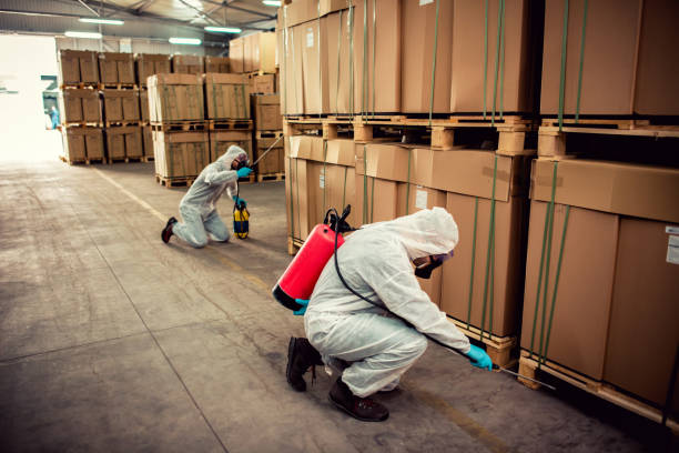 Best Affordable Pest Control Services  in Maumelle, AR