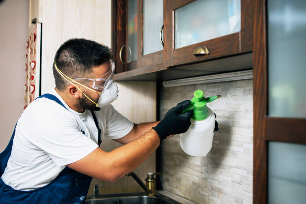 Best Best Pest Control Companies  in Maumelle, AR