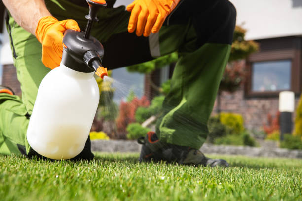 Insect Control in Maumelle, AR
