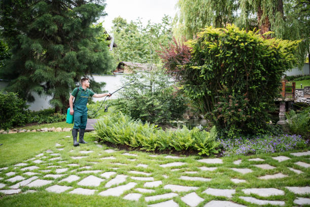 Best Wasp Removal Services  in Maumelle, AR