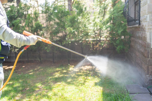 Best Insect Control  in Maumelle, AR