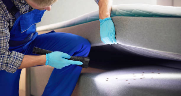 Best Commercial Pest Control Services  in Maumelle, AR