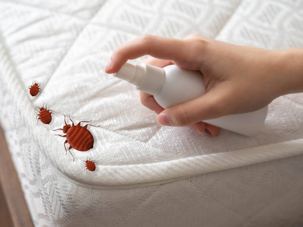 Best Pest Control for Businesses  in Maumelle, AR