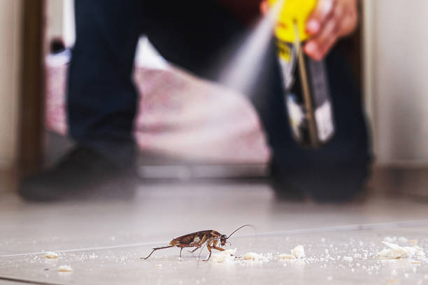 Best Exterminator Services  in Maumelle, AR