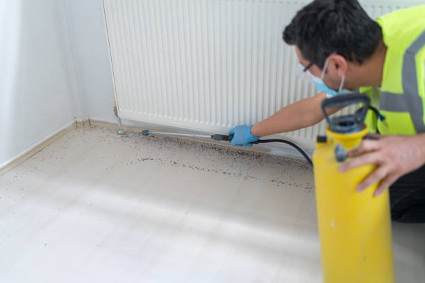 Pest Prevention Services in Maumelle, AR