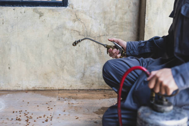 Best Pest Control for Homes  in Maumelle, AR